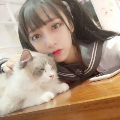 战龙无双官方九游版下载